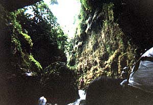 im Green Canyon